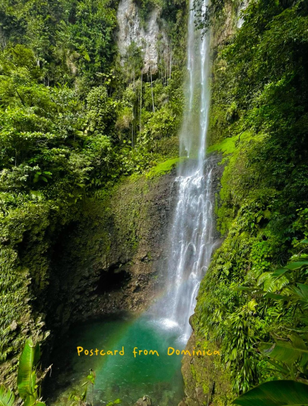 Le Petit Paradis 罗索 外观 照片